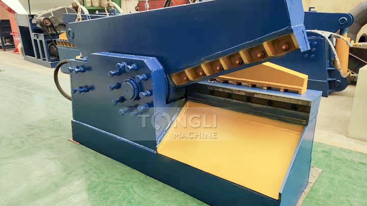 17434056027573.jpg 17434056027573.jpg